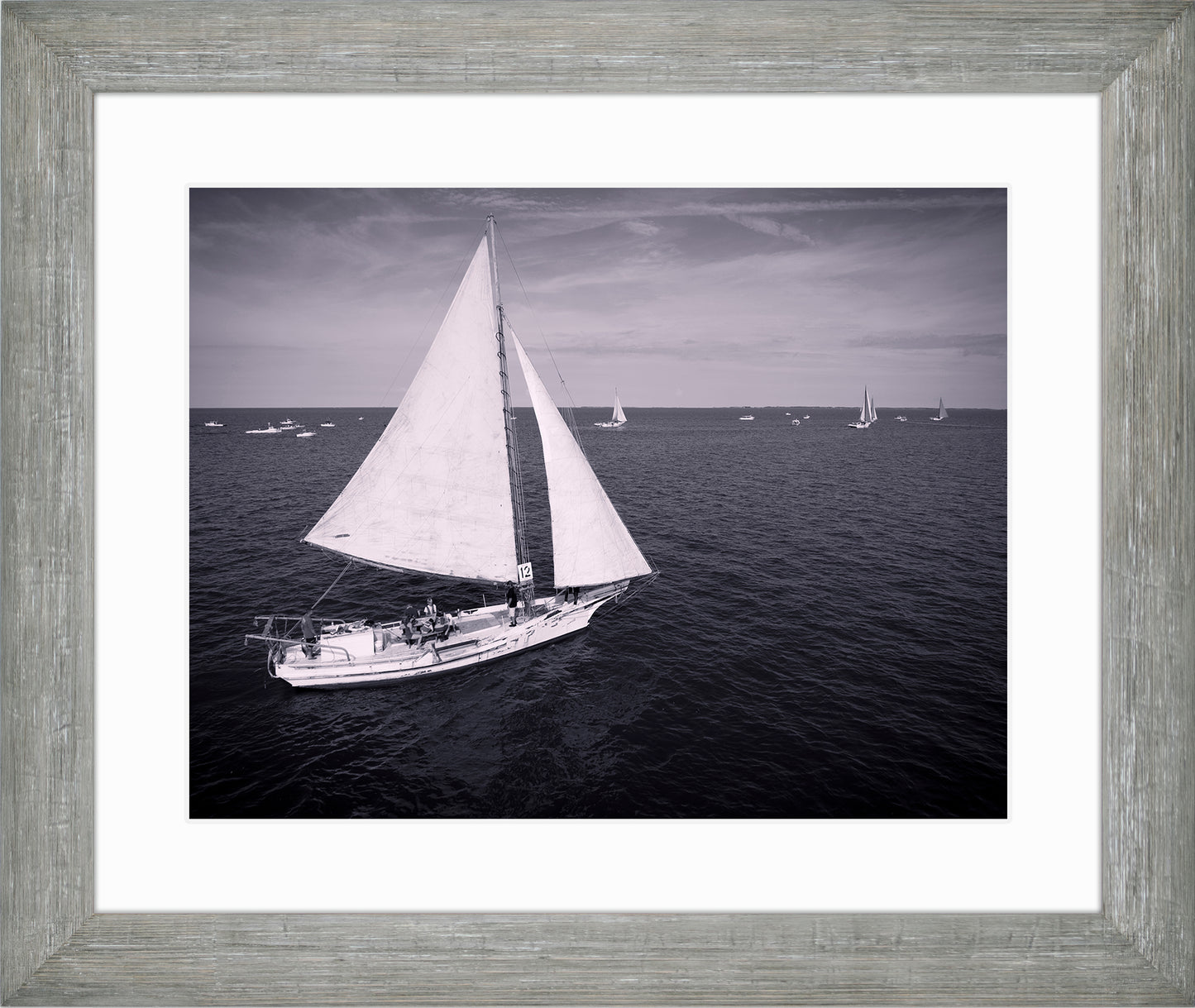 2022 Deal Island Skipjack Races - The Messenger (BW) -- Digital Print