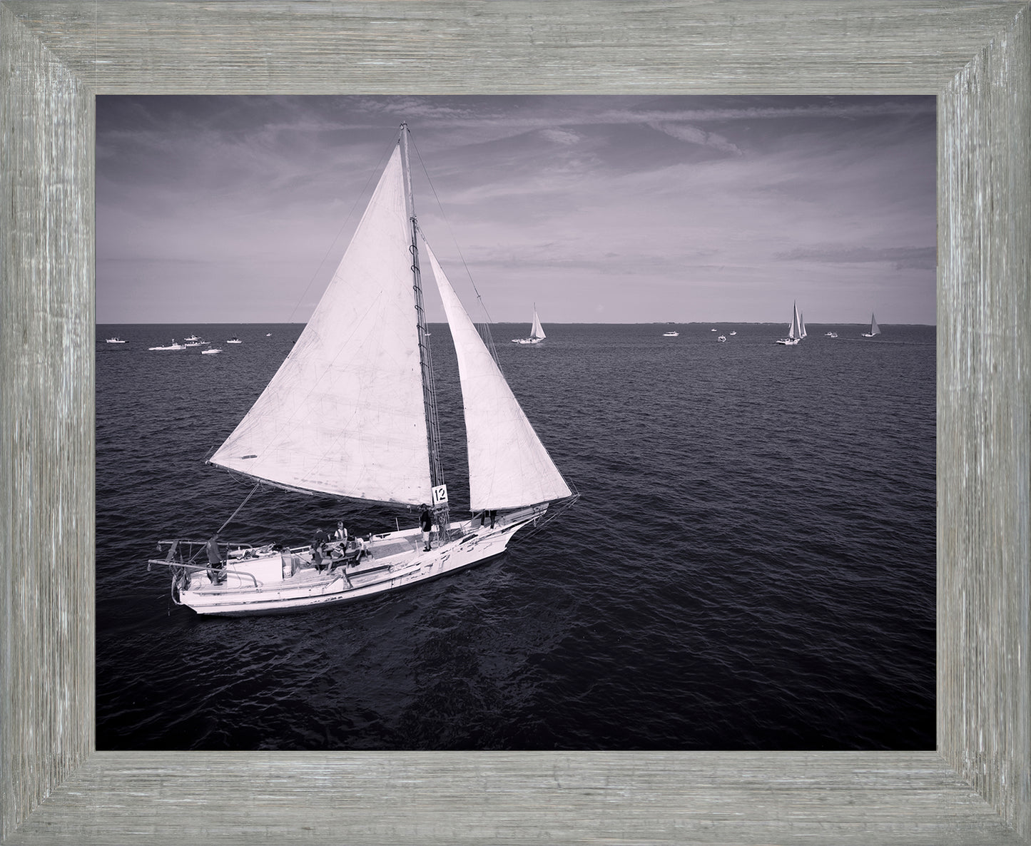 2022 Deal Island Skipjack Races - The Messenger (BW) -- Digital Print