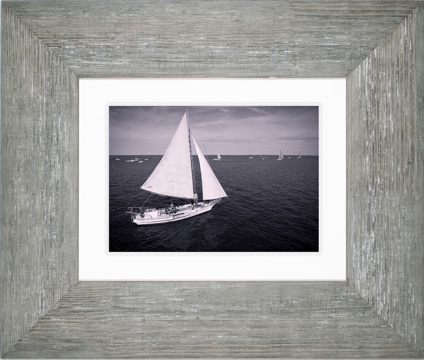 2022 Deal Island Skipjack Races - The Messenger (BW) -- Digital Print