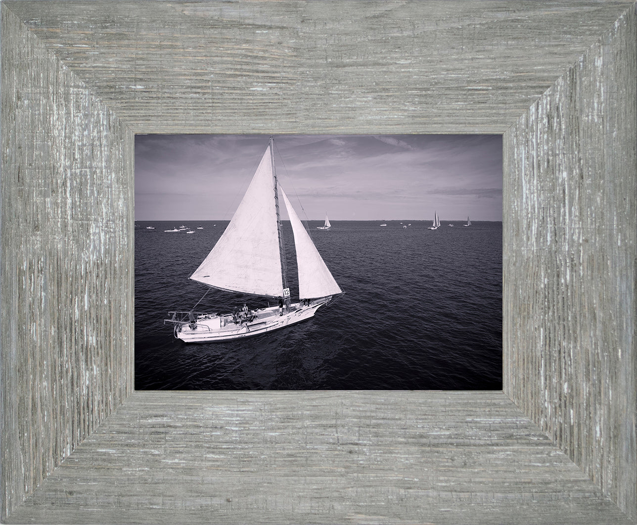 2022 Deal Island Skipjack Races - The Messenger (BW) -- Digital Print