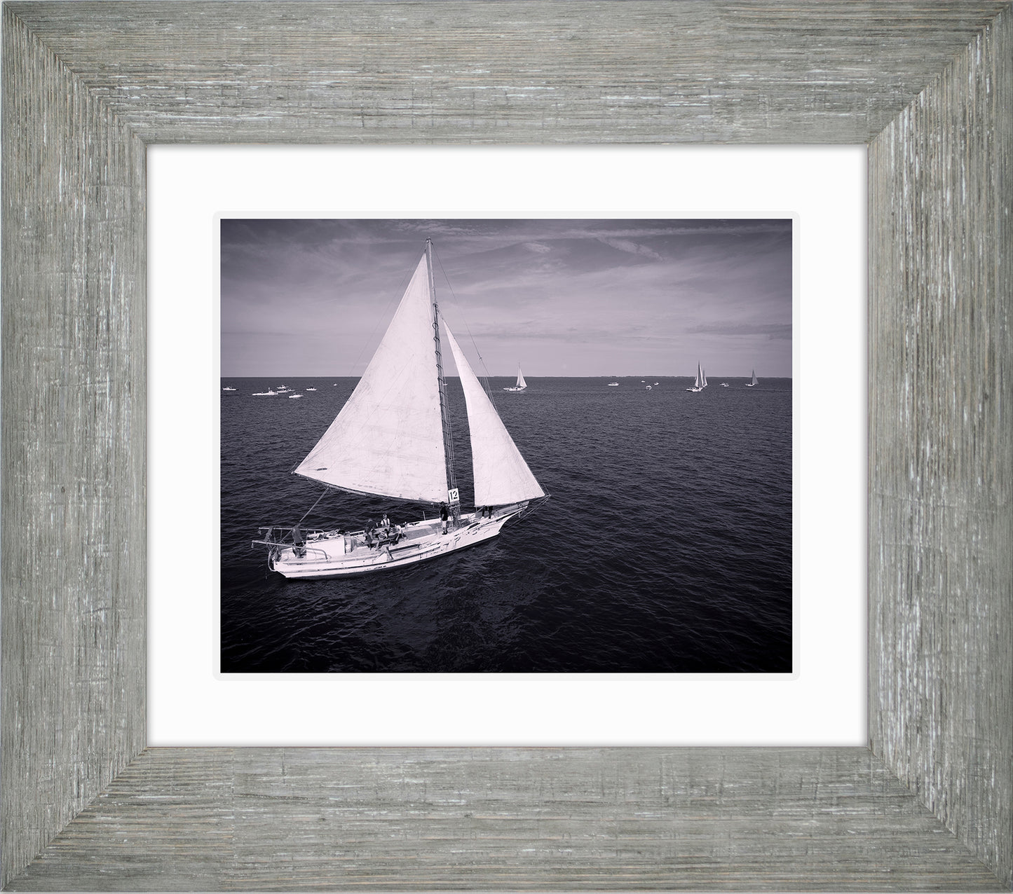 2022 Deal Island Skipjack Races - The Messenger (BW) -- Digital Print