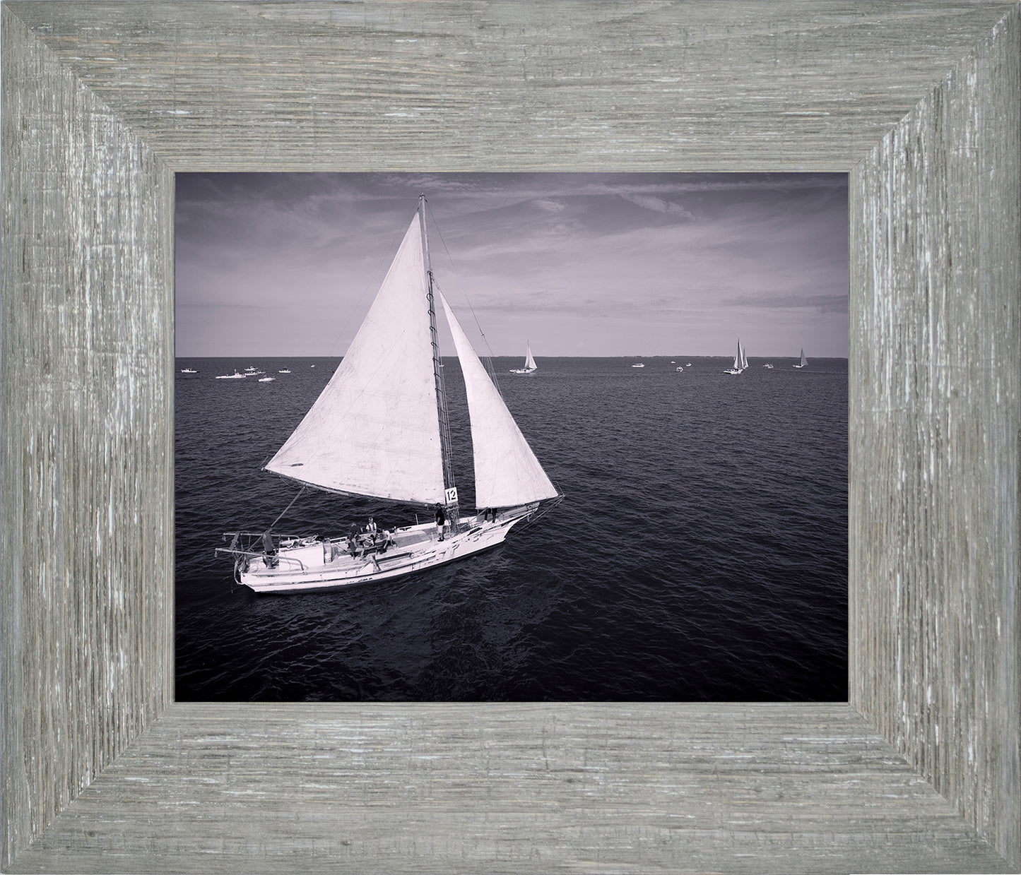 2022 Deal Island Skipjack Races - The Messenger (BW) -- Digital Print