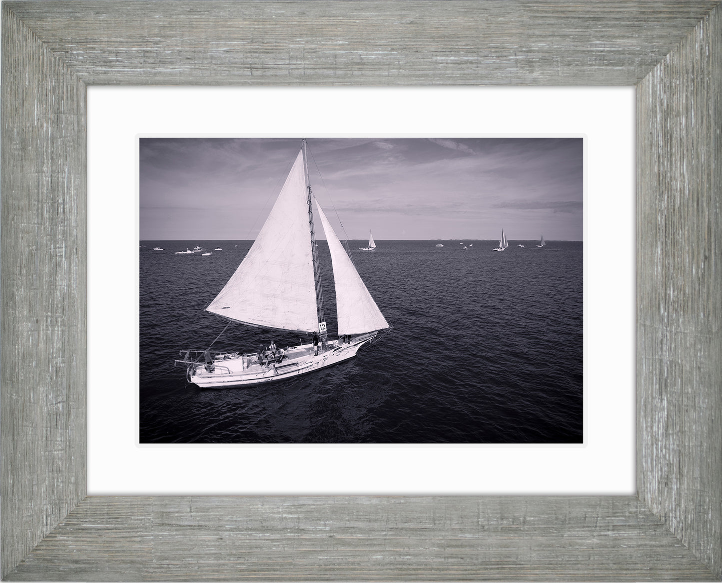 2022 Deal Island Skipjack Races - The Messenger (BW) -- Digital Print