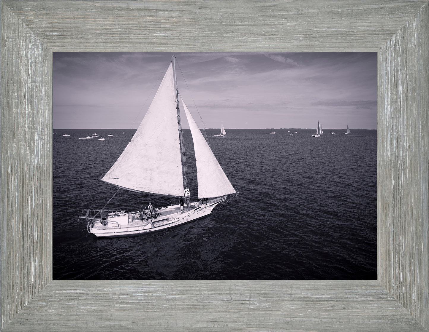 2022 Deal Island Skipjack Races - The Messenger (BW) -- Digital Print