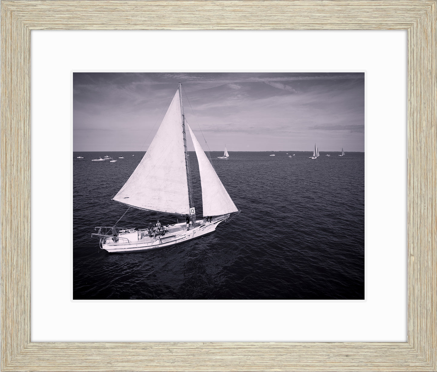 2022 Deal Island Skipjack Races - The Messenger (BW) -- Digital Print