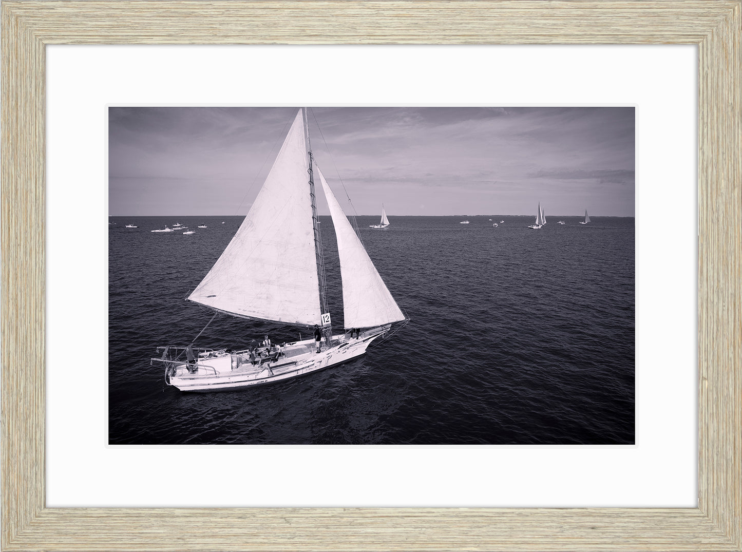 2022 Deal Island Skipjack Races - The Messenger (BW) -- Digital Print
