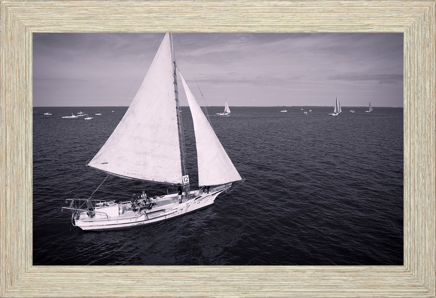 2022 Deal Island Skipjack Races - The Messenger (BW) -- Digital Print