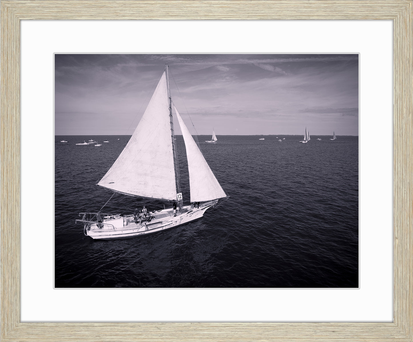2022 Deal Island Skipjack Races - The Messenger (BW) -- Digital Print