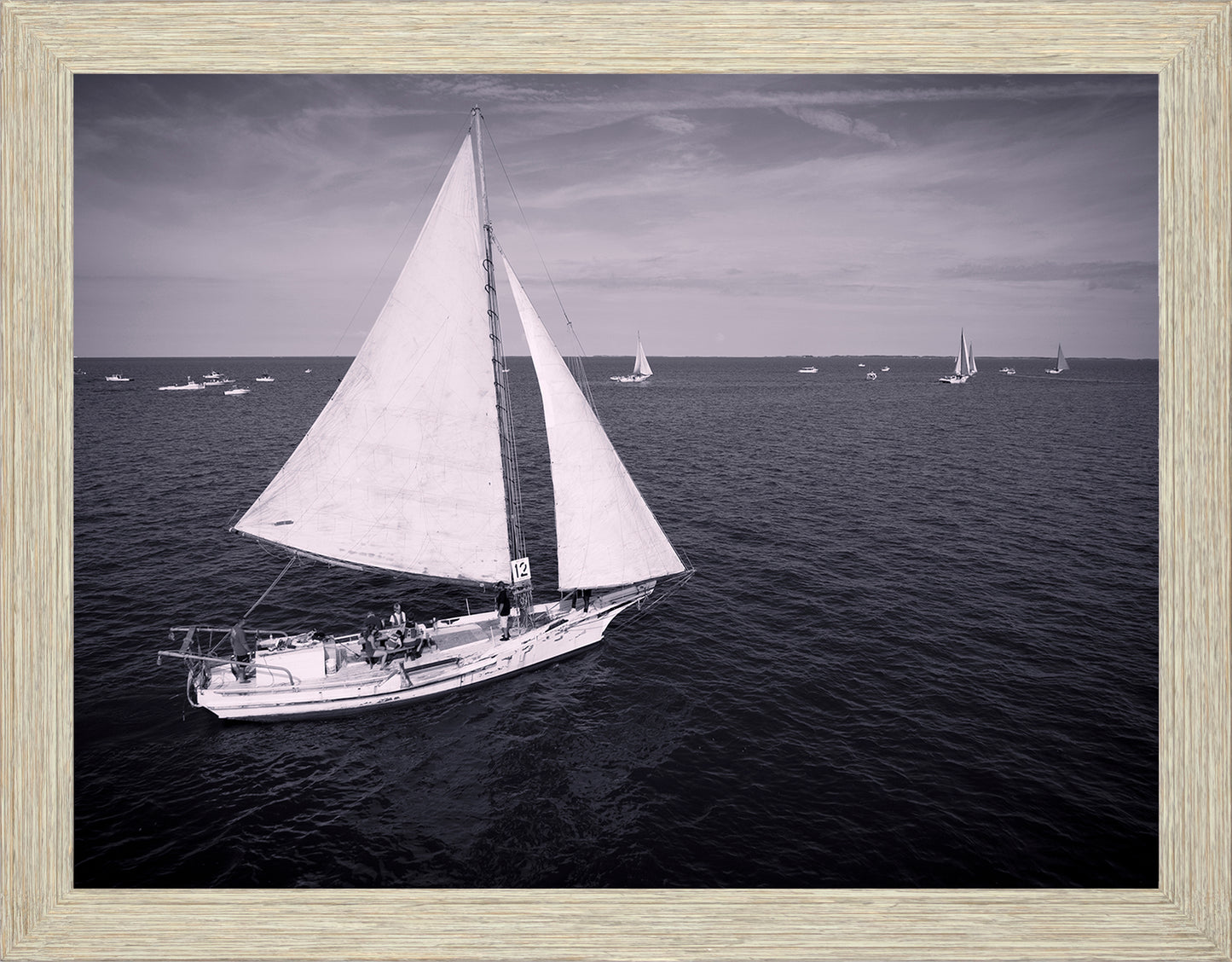 2022 Deal Island Skipjack Races - The Messenger (BW) -- Digital Print