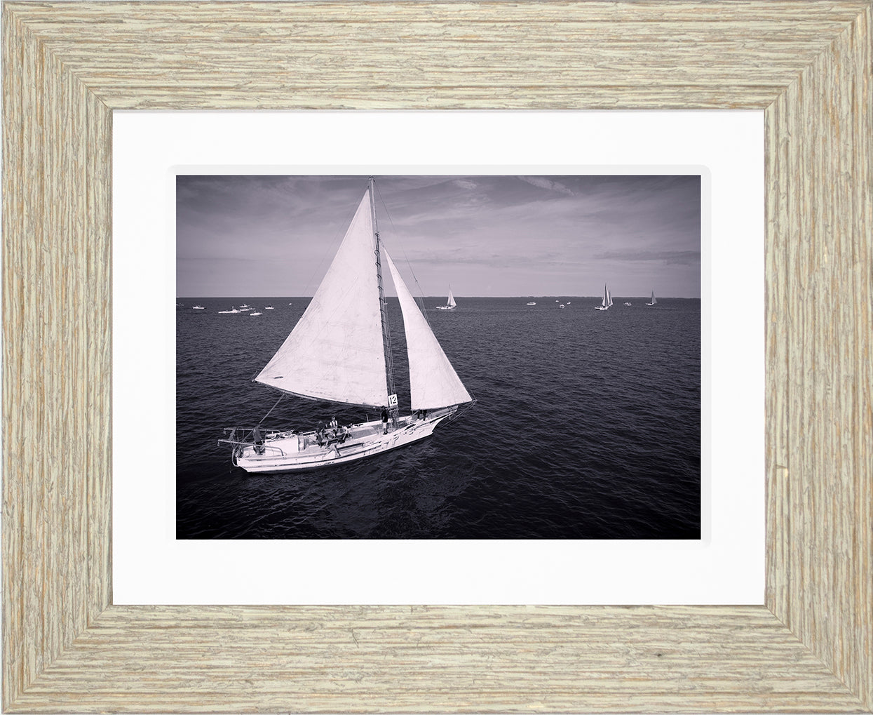 2022 Deal Island Skipjack Races - The Messenger (BW) -- Digital Print