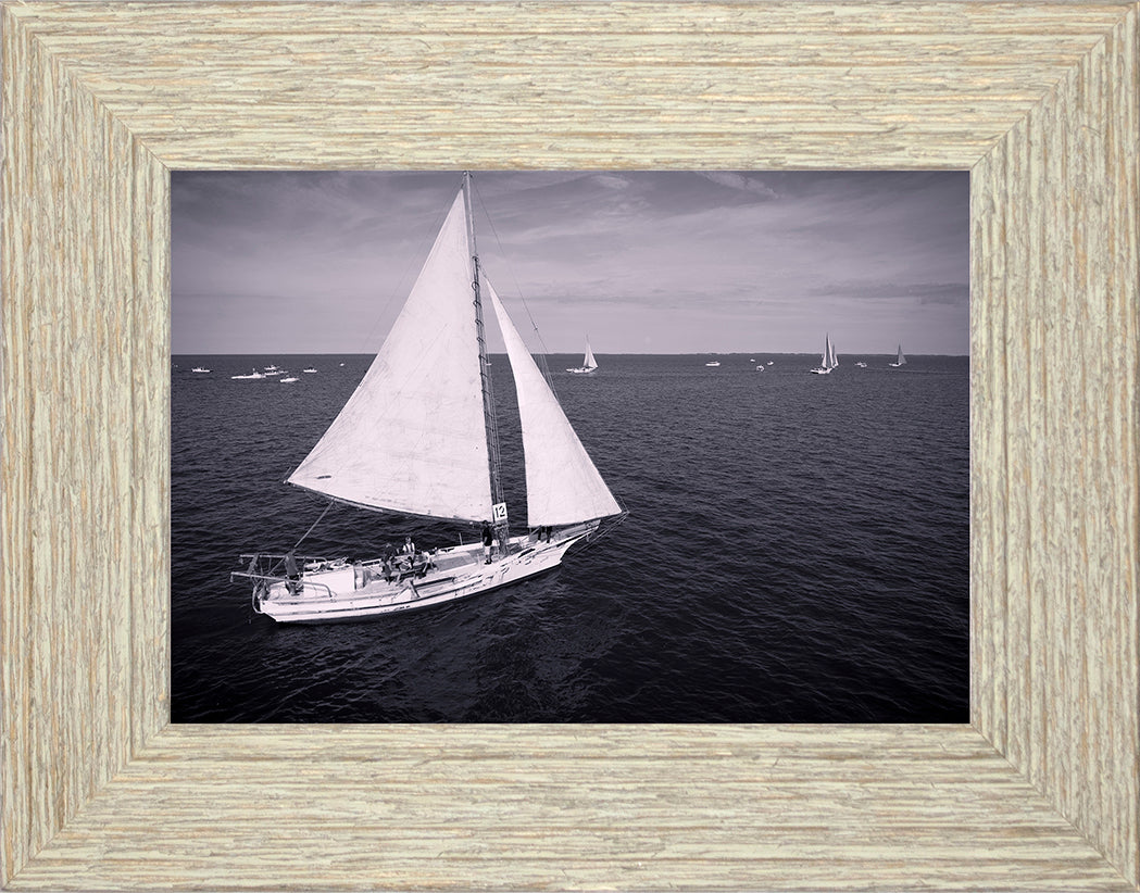 2022 Deal Island Skipjack Races - The Messenger (BW) -- Digital Print