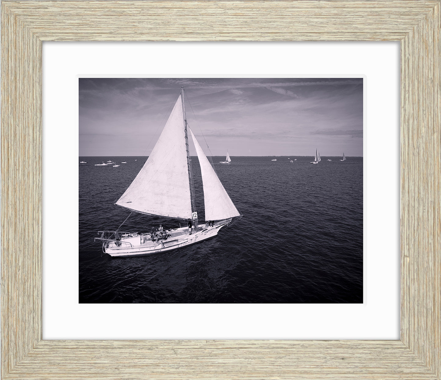 2022 Deal Island Skipjack Races - The Messenger (BW) -- Digital Print