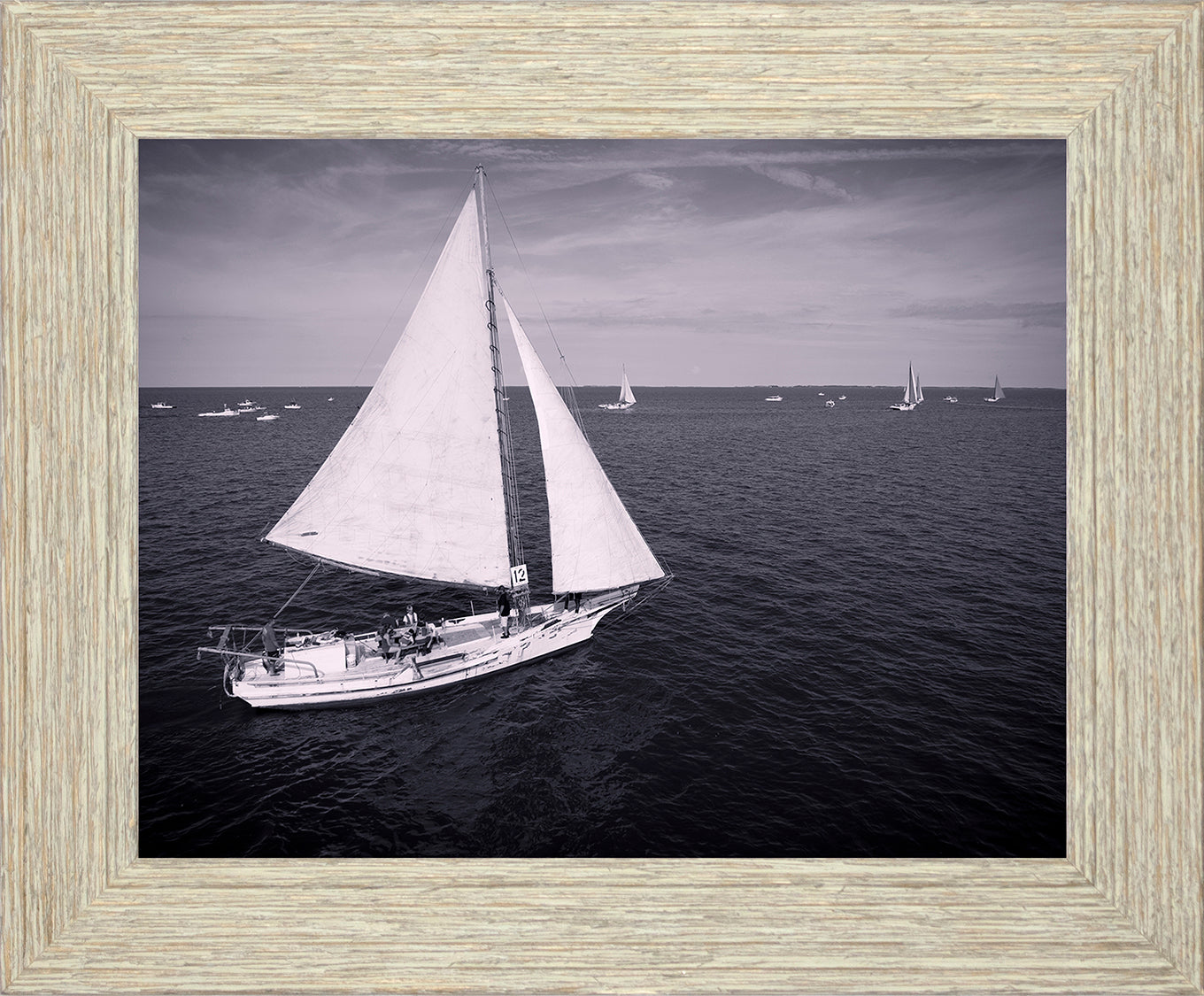 2022 Deal Island Skipjack Races - The Messenger (BW) -- Digital Print