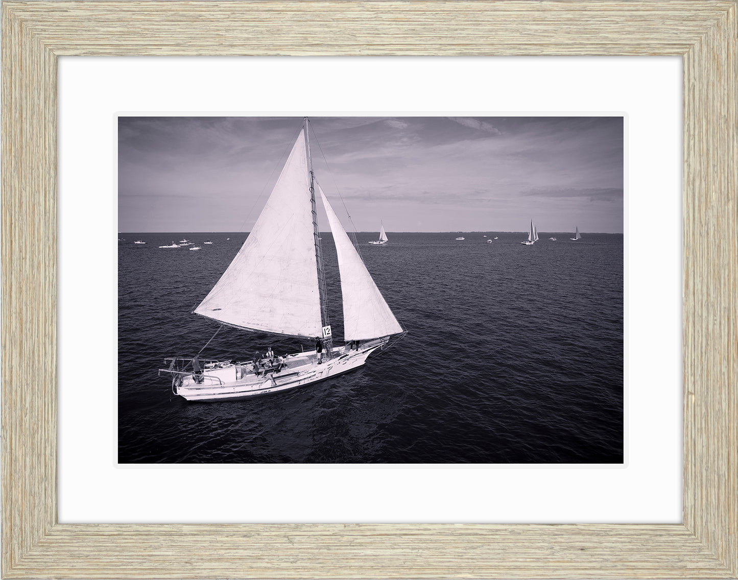 2022 Deal Island Skipjack Races - The Messenger (BW) -- Digital Print