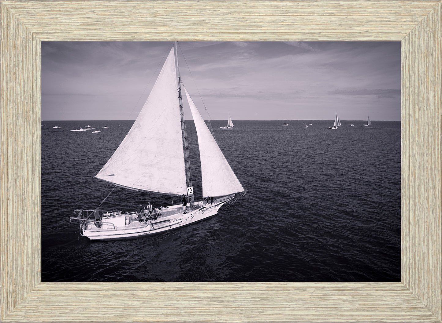 2022 Deal Island Skipjack Races - The Messenger (BW) -- Digital Print