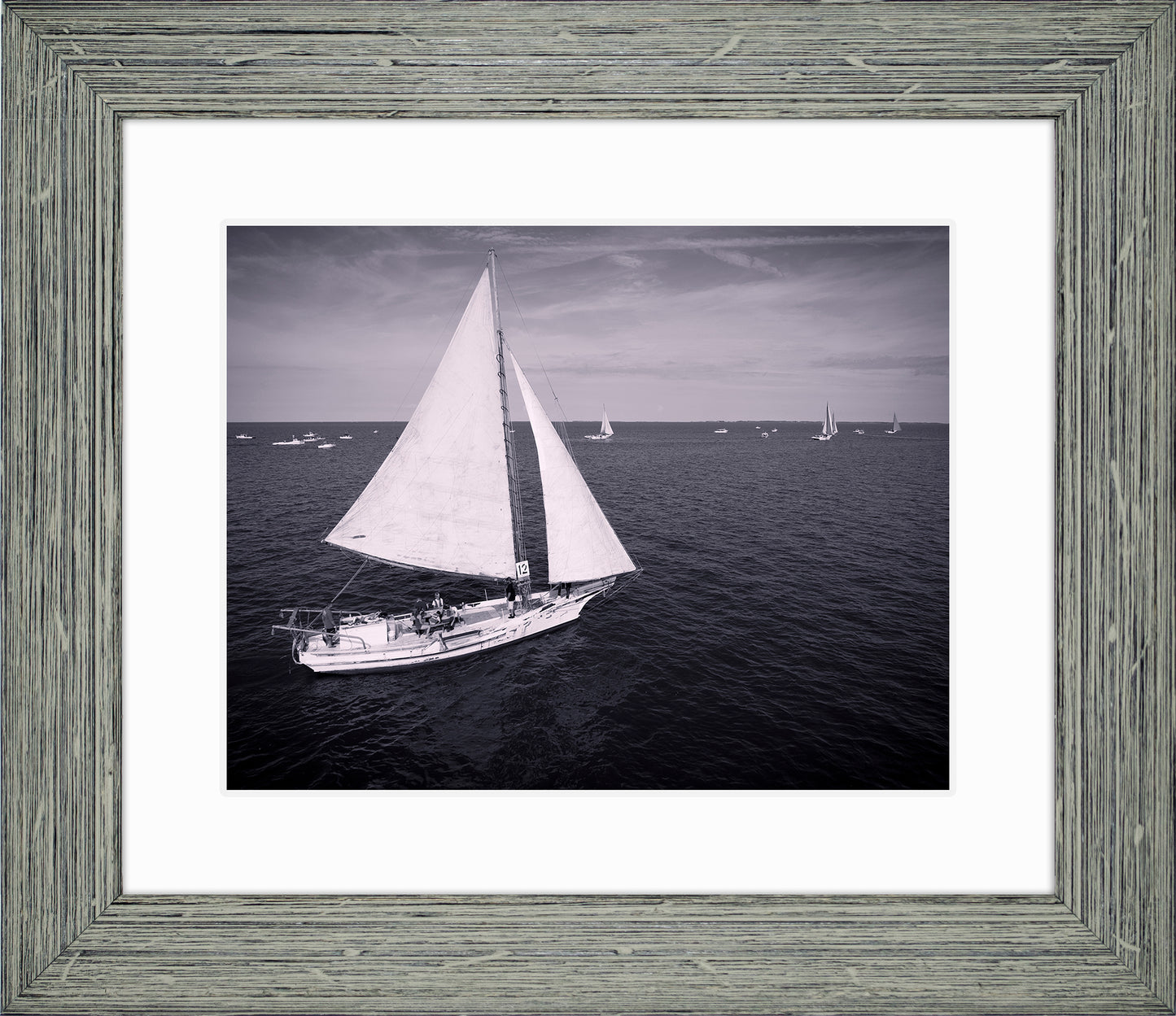 2022 Deal Island Skipjack Races - The Messenger (BW) -- Digital Print