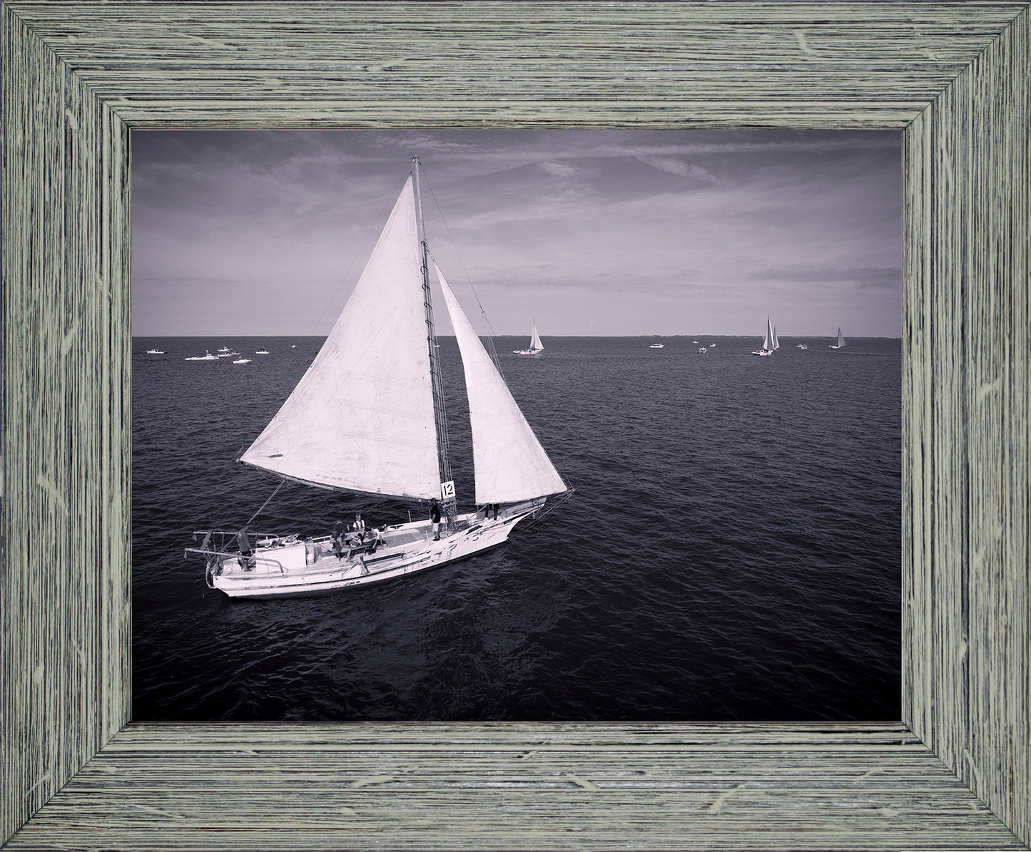 2022 Deal Island Skipjack Races - The Messenger (BW) -- Digital Print