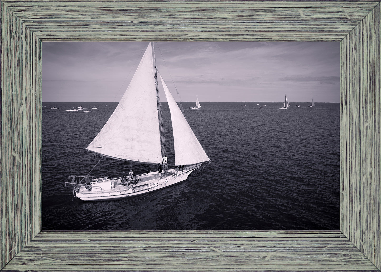 2022 Deal Island Skipjack Races - The Messenger (BW) -- Digital Print