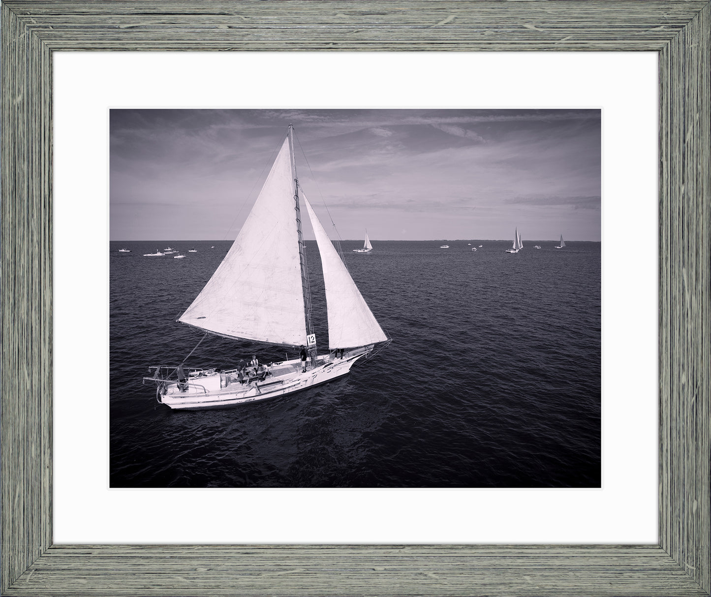 2022 Deal Island Skipjack Races - The Messenger (BW) -- Digital Print