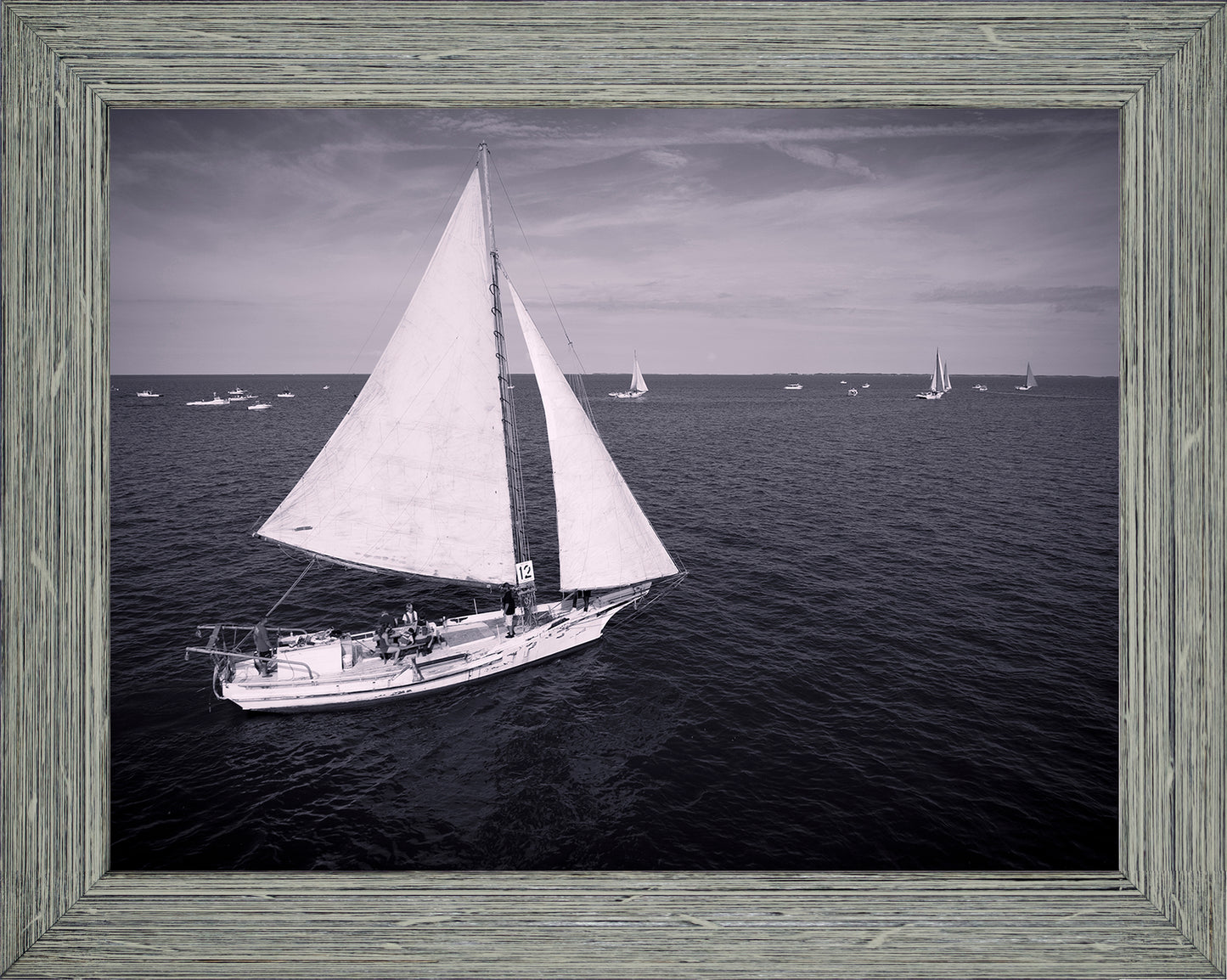 2022 Deal Island Skipjack Races - The Messenger (BW) -- Digital Print