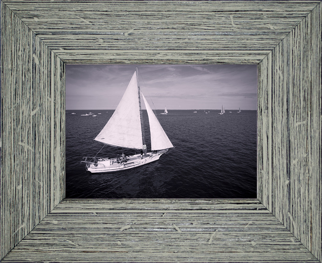 2022 Deal Island Skipjack Races - The Messenger (BW) -- Digital Print