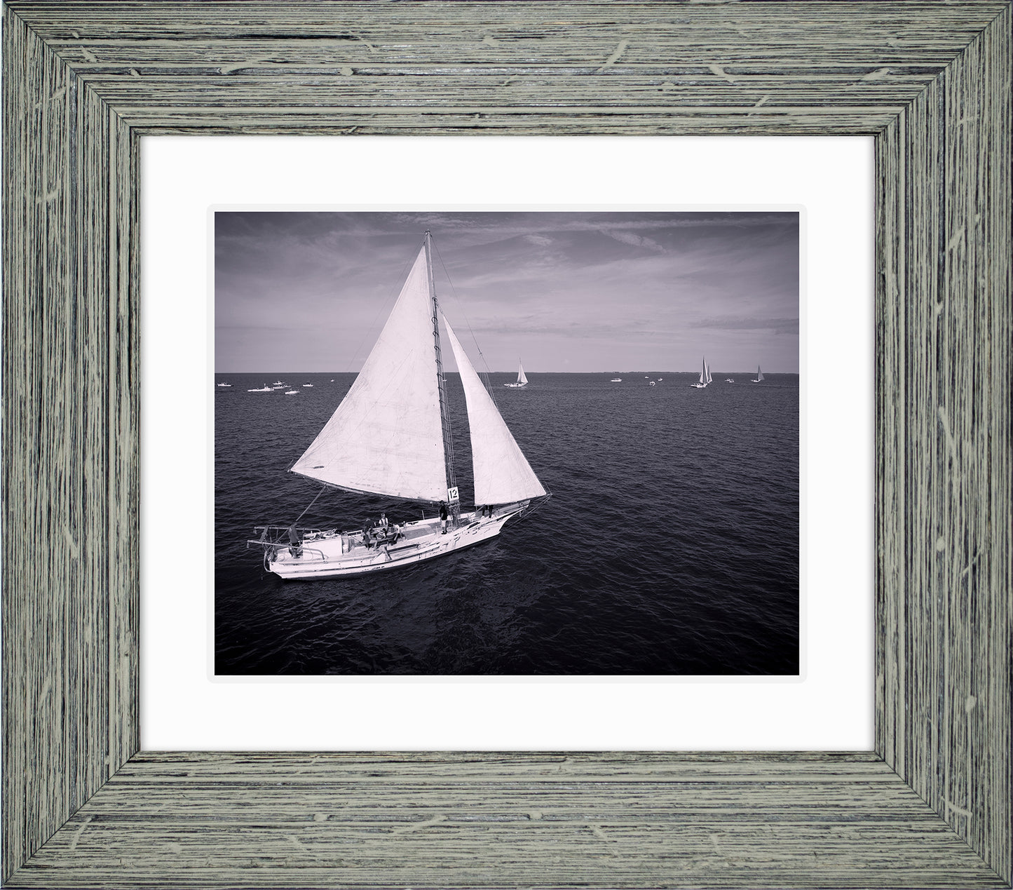 2022 Deal Island Skipjack Races - The Messenger (BW) -- Digital Print