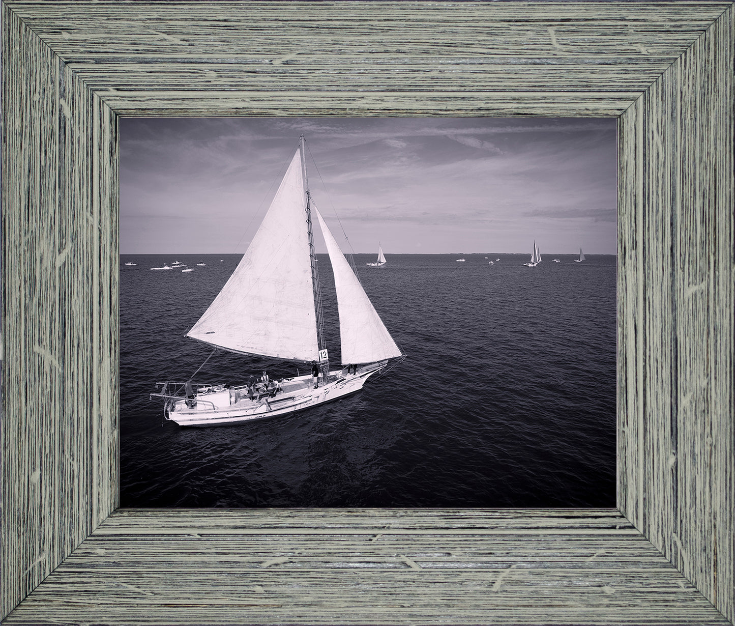 2022 Deal Island Skipjack Races - The Messenger (BW) -- Digital Print