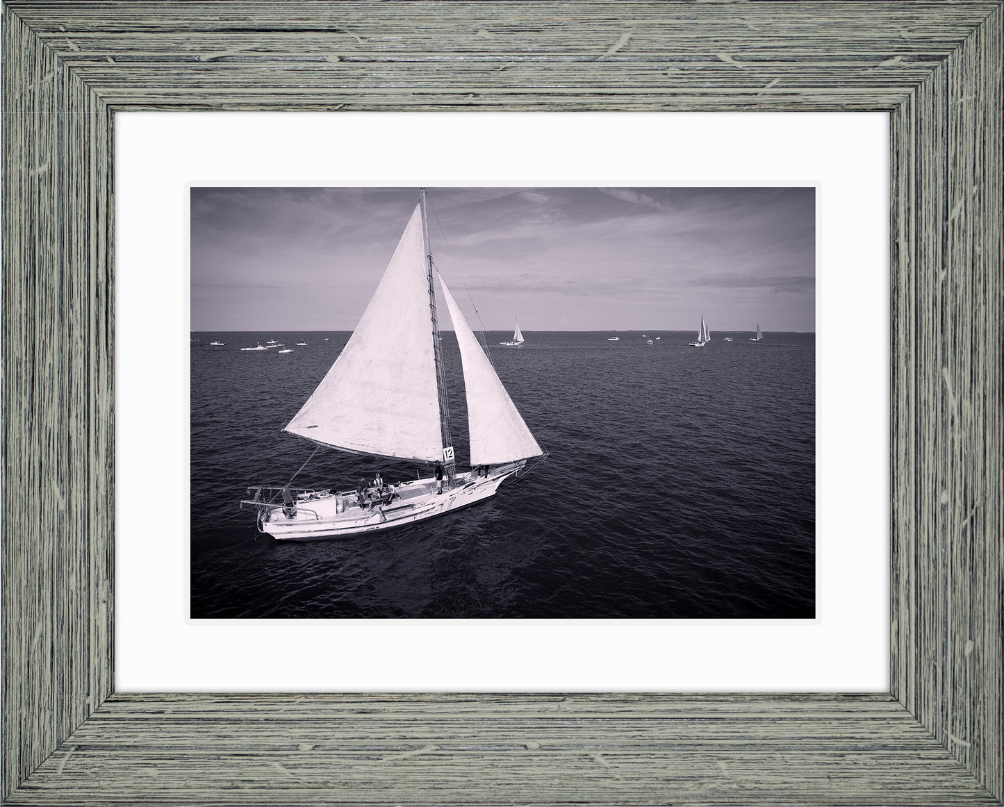2022 Deal Island Skipjack Races - The Messenger (BW) -- Digital Print