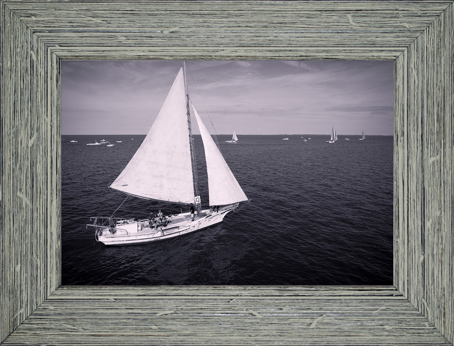 2022 Deal Island Skipjack Races - The Messenger (BW) -- Digital Print