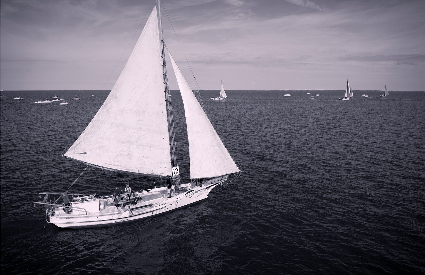 2022 Deal Island Skipjack Races - The Messenger (BW) -- Digital Print