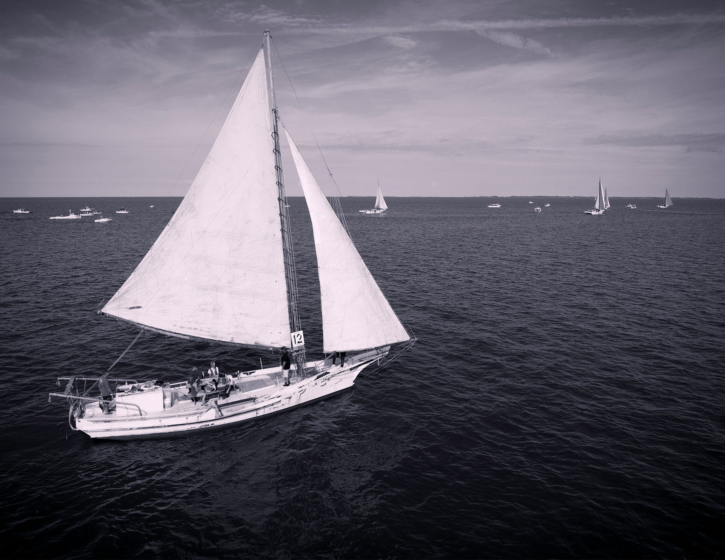 2022 Deal Island Skipjack Races - The Messenger (BW) -- Digital Print