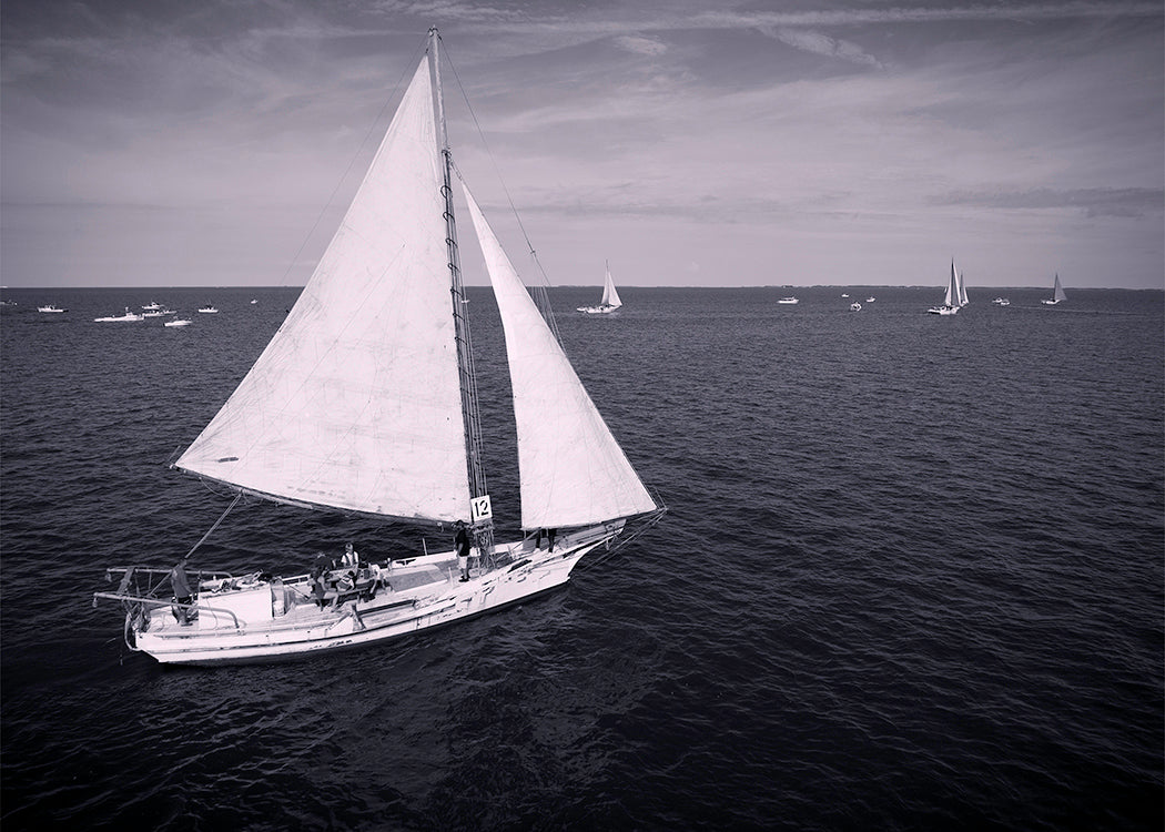 2022 Deal Island Skipjack Races - The Messenger (BW) -- Digital Print