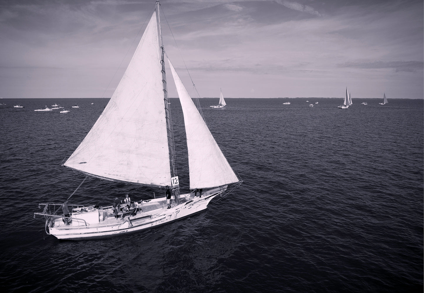 2022 Deal Island Skipjack Races - The Messenger (BW) -- Digital Print