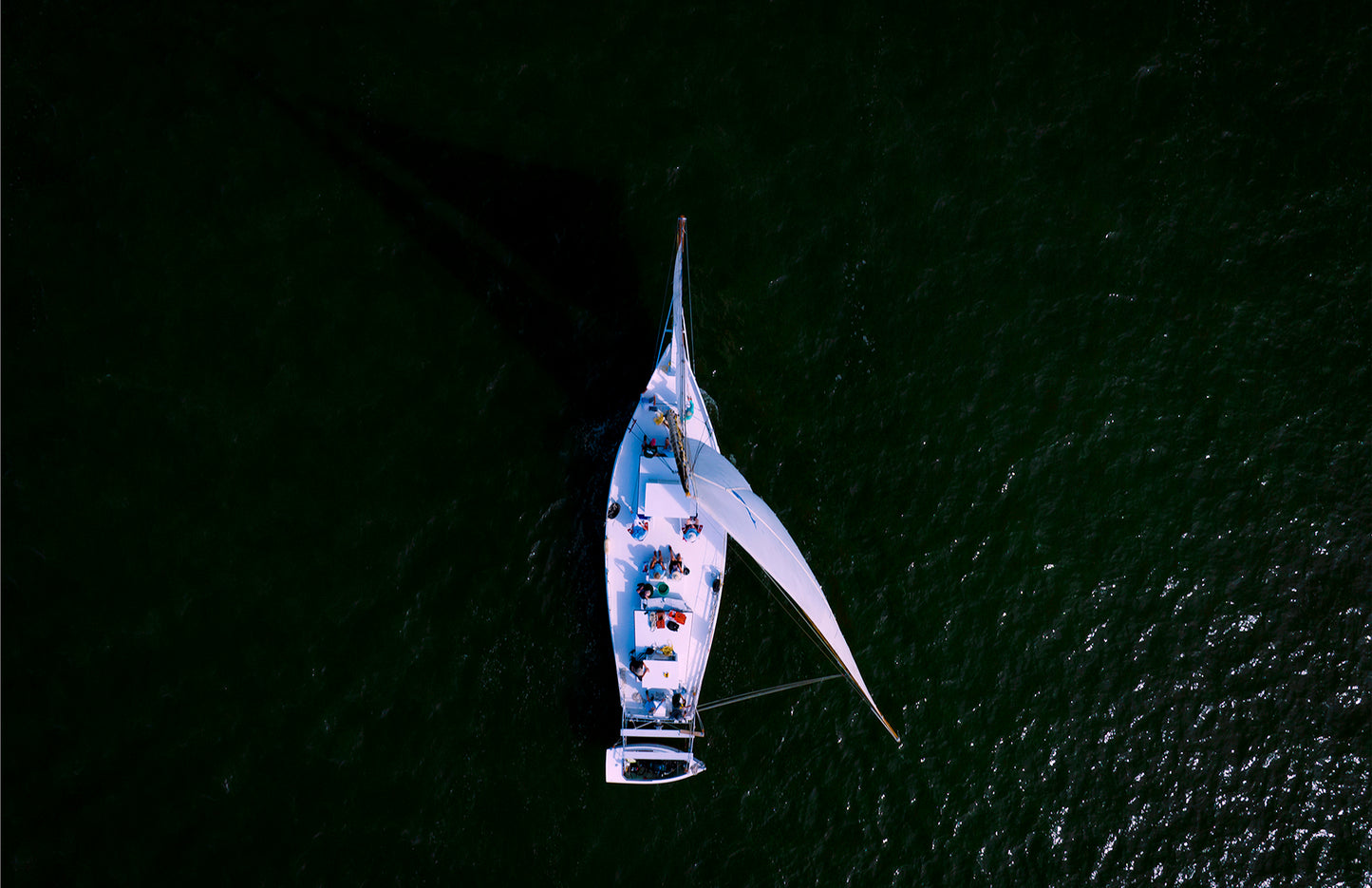 2022 Deal Island Skipjack Races - Top Down Skipjack -- Digital Print