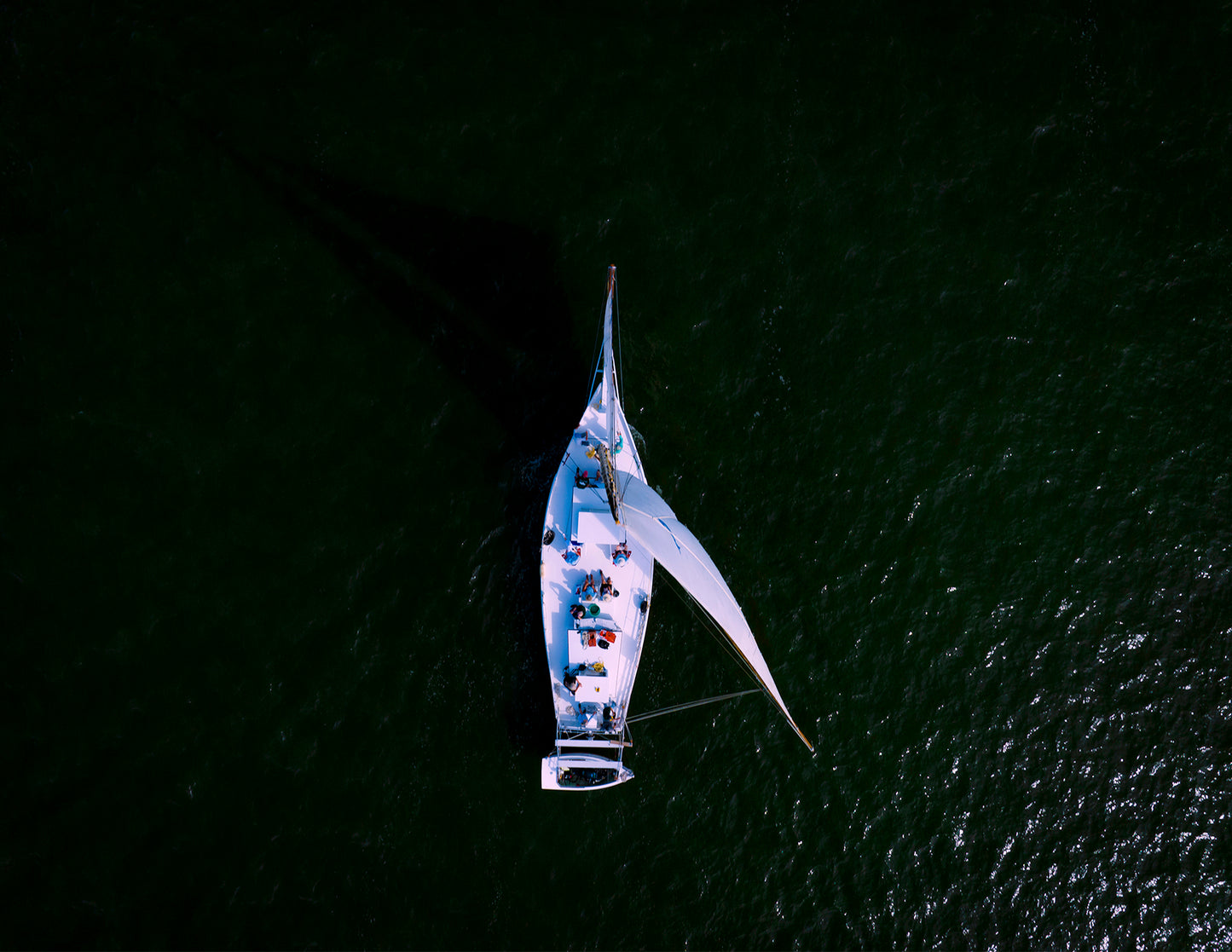 2022 Deal Island Skipjack Races - Top Down Skipjack -- Digital Print