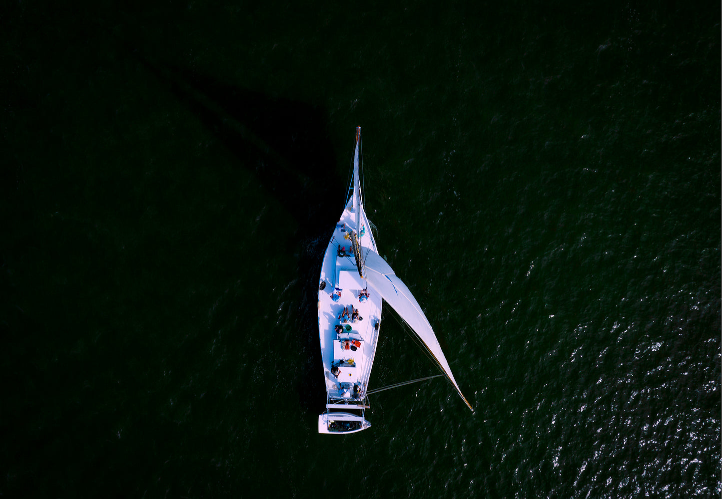 2022 Deal Island Skipjack Races - Top Down Skipjack -- Digital Print