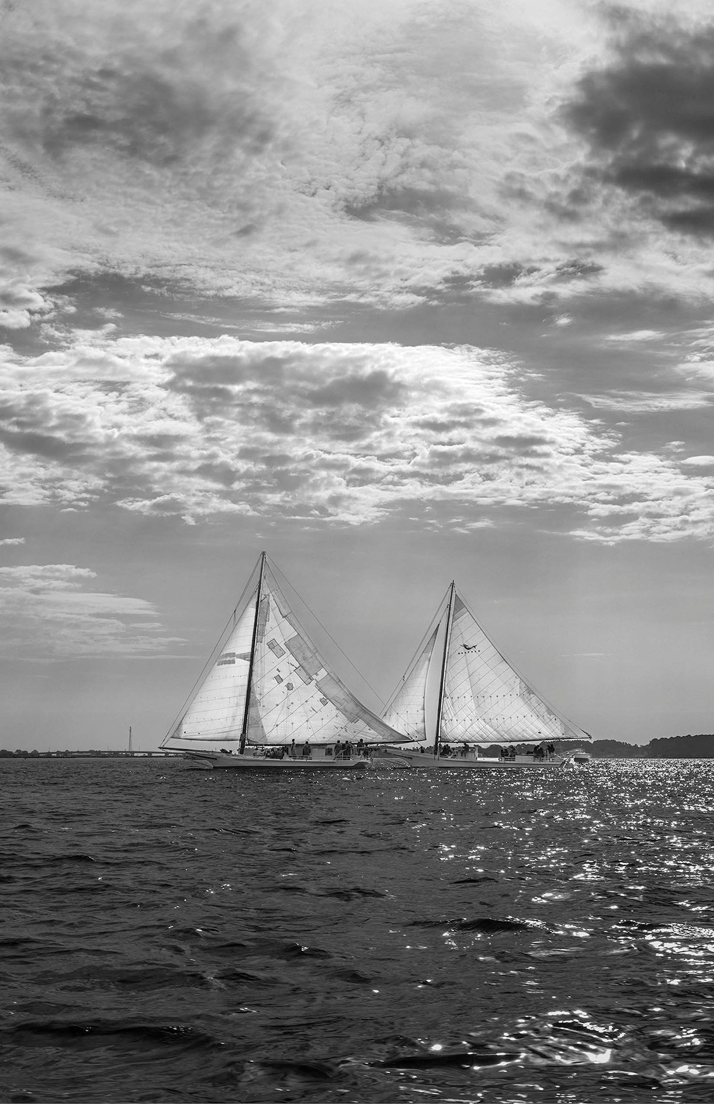 2023 Deal Island Skipjack Races - Fannie Dougherty Leads the Han Em Harve (BW) -- Digital Print