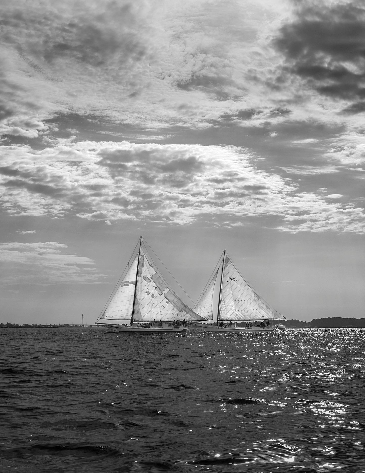 2023 Deal Island Skipjack Races - Fannie Dougherty Leads the Han Em Harve (BW) -- Digital Print