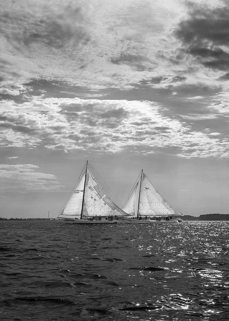 2023 Deal Island Skipjack Races - Fannie Dougherty Leads the Han Em Harve (BW) -- Digital Print
