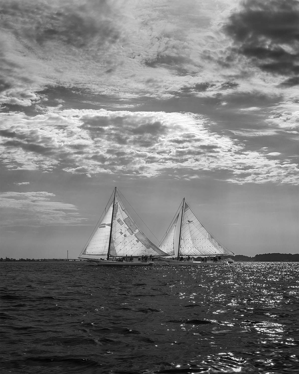 2023 Deal Island Skipjack Races - Fannie Dougherty Leads the Han Em Harve (BW) -- Digital Print