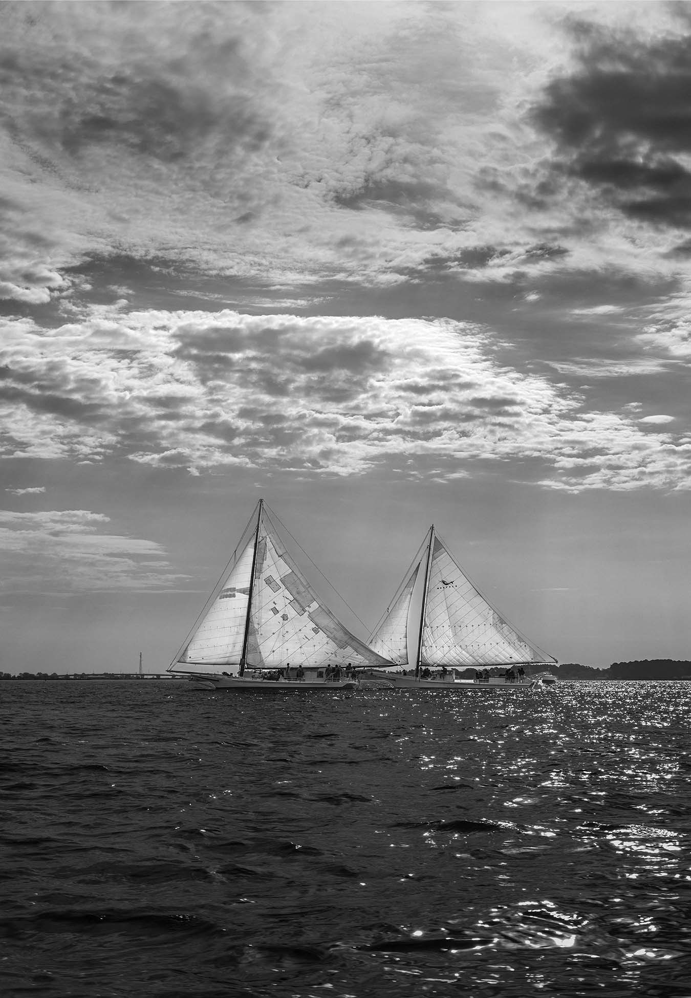 2023 Deal Island Skipjack Races - Fannie Dougherty Leads the Han Em Harve (BW) -- Digital Print