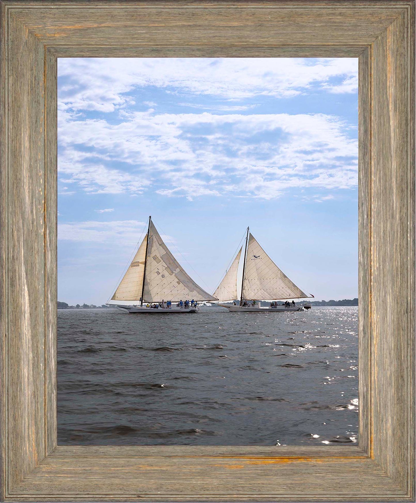 2023 Deal Island Skipjack Races - Fannie Dougherty Leads the Han Em Harve (Color) -- Digital Print