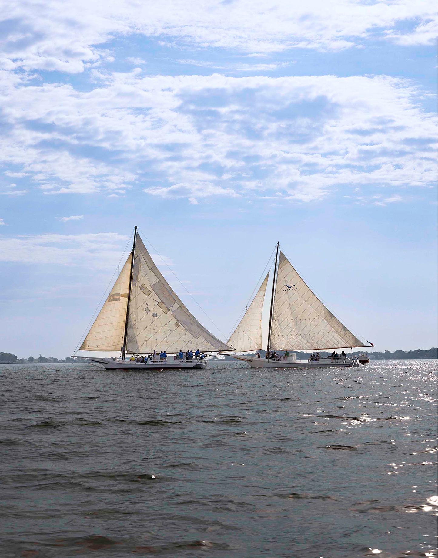 2023 Deal Island Skipjack Races - Fannie Dougherty Leads the Han Em Harve (Color) -- Digital Print