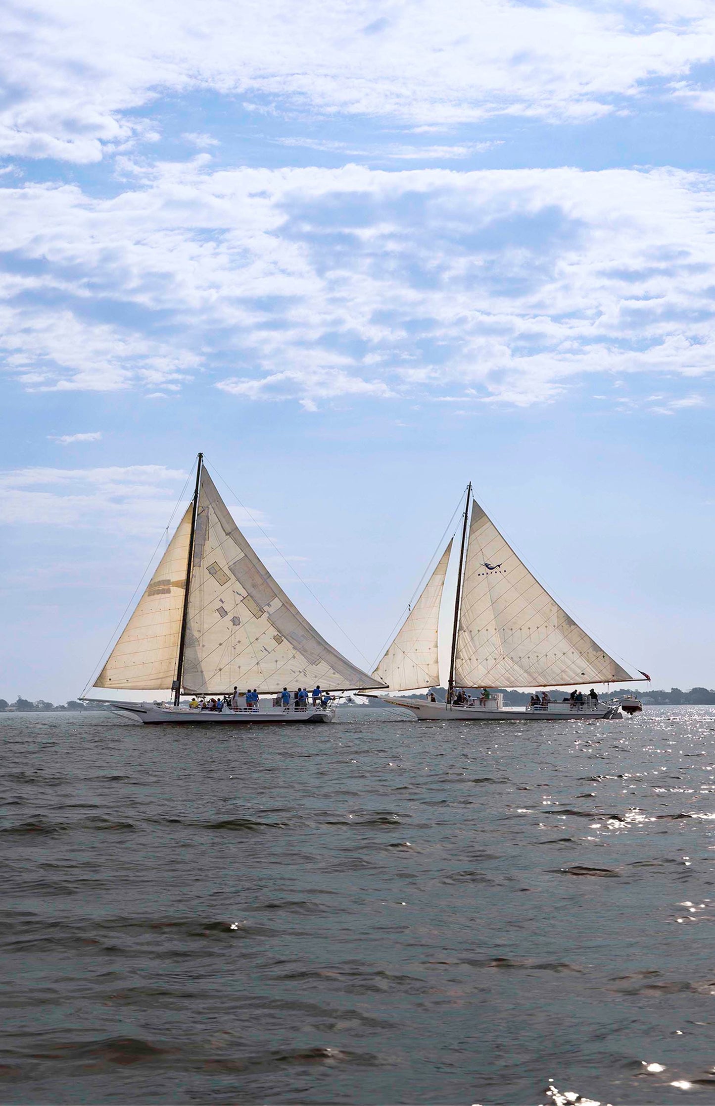 2023 Deal Island Skipjack Races - Fannie Dougherty Leads the Han Em Harve (Color) -- Digital Print