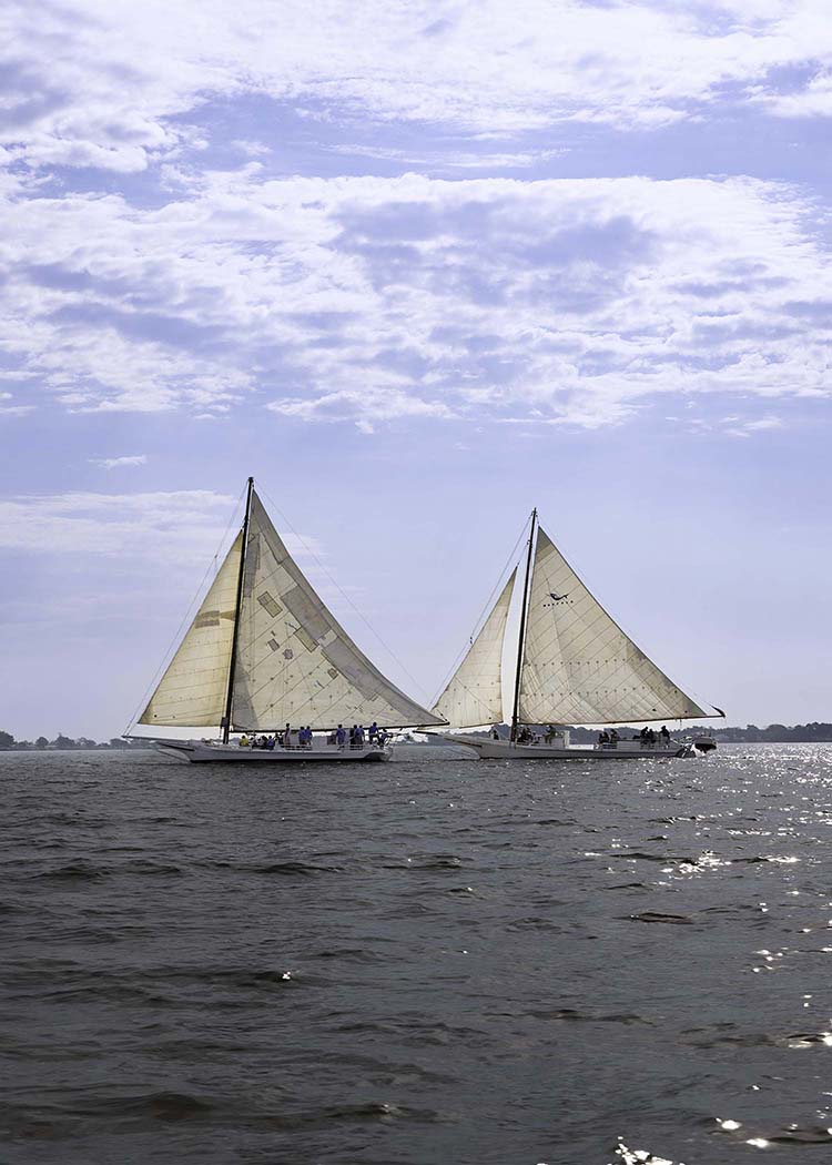 2023 Deal Island Skipjack Races - Fannie Dougherty Leads the Han Em Harve (Color) -- Digital Print