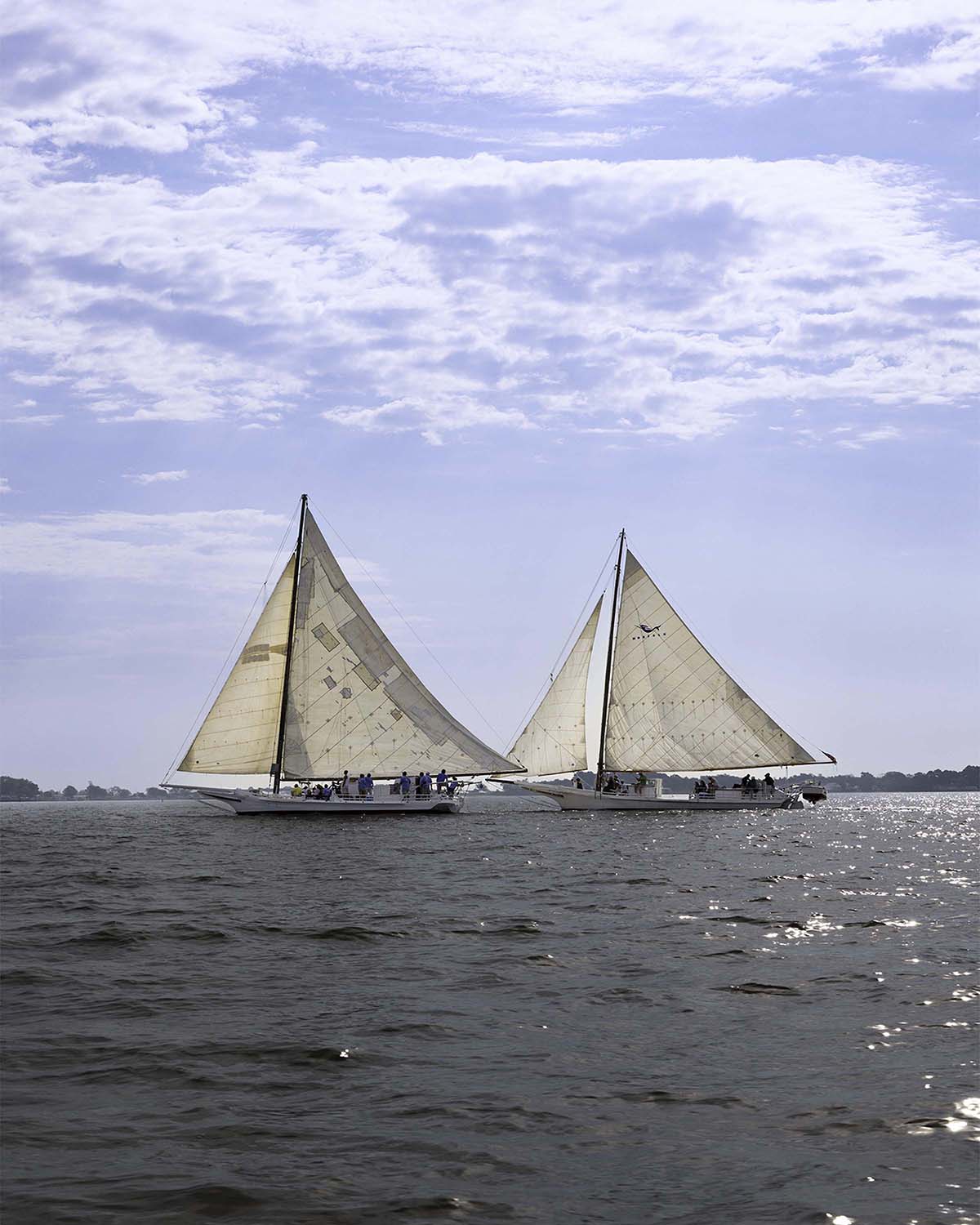 2023 Deal Island Skipjack Races - Fannie Dougherty Leads the Han Em Harve (Color) -- Digital Print
