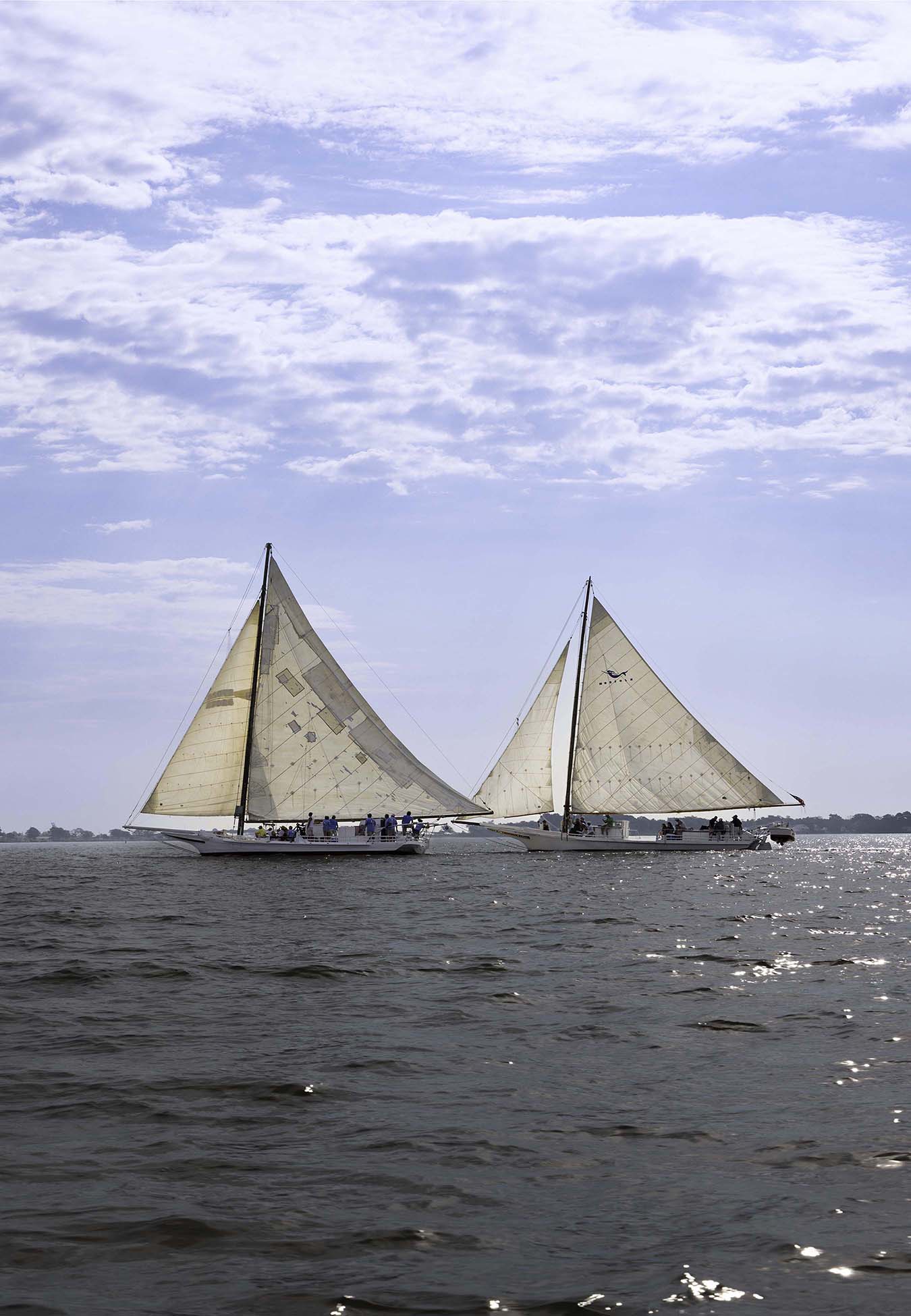 2023 Deal Island Skipjack Races - Fannie Dougherty Leads the Han Em Harve (Color) -- Digital Print