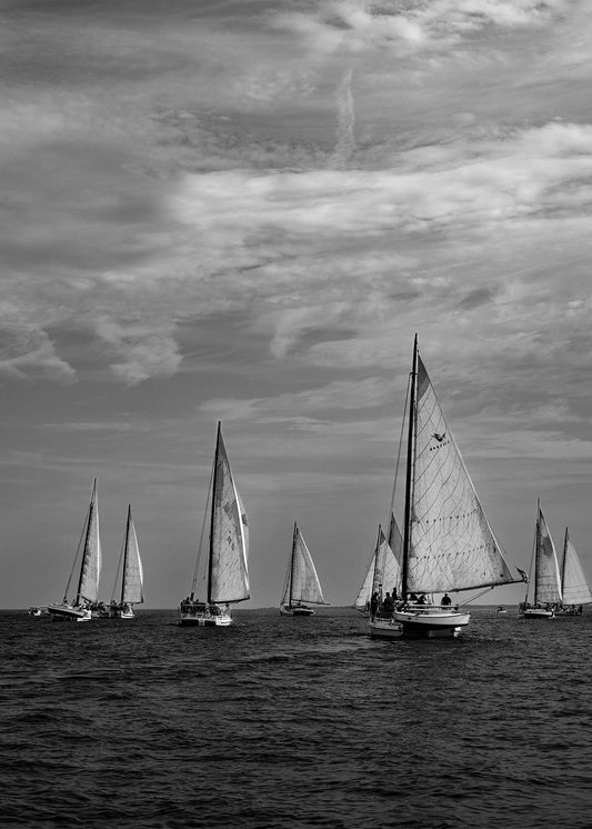 2023 Deal Island Skipjack Races - Following the Fleet (BW) -- Digital Print