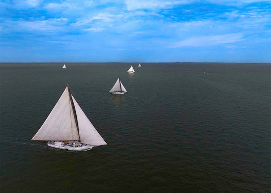 2023 Deal Island Skipjack Races - Four in Line -- Digital Print