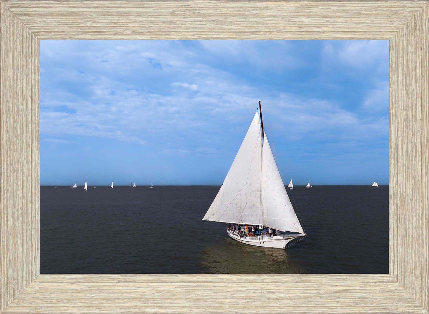 2023 Deal Island Skipjack Races - Somerset Goes Alone -- Digital Print